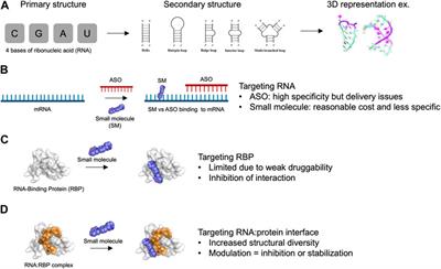 Using the structural diversity of RNA: protein interfaces to selectively target RNA with small molecules in cells: methods and perspectives